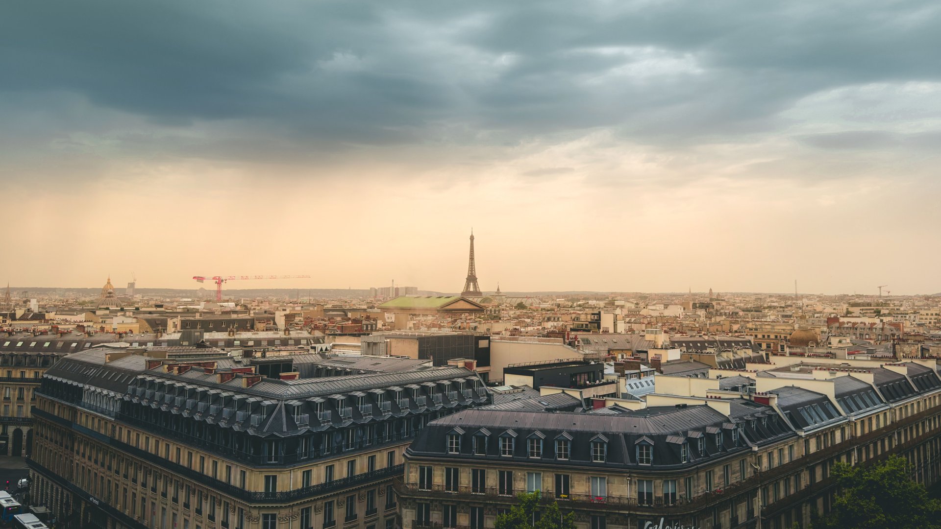 France Talent Passport startup and investor routes from UAE GCC and India