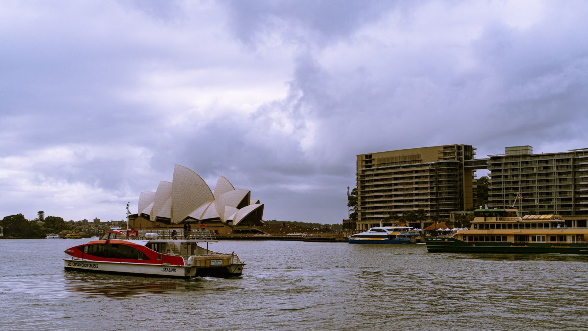 Cosmos Immigration banner — free Australia points calculator