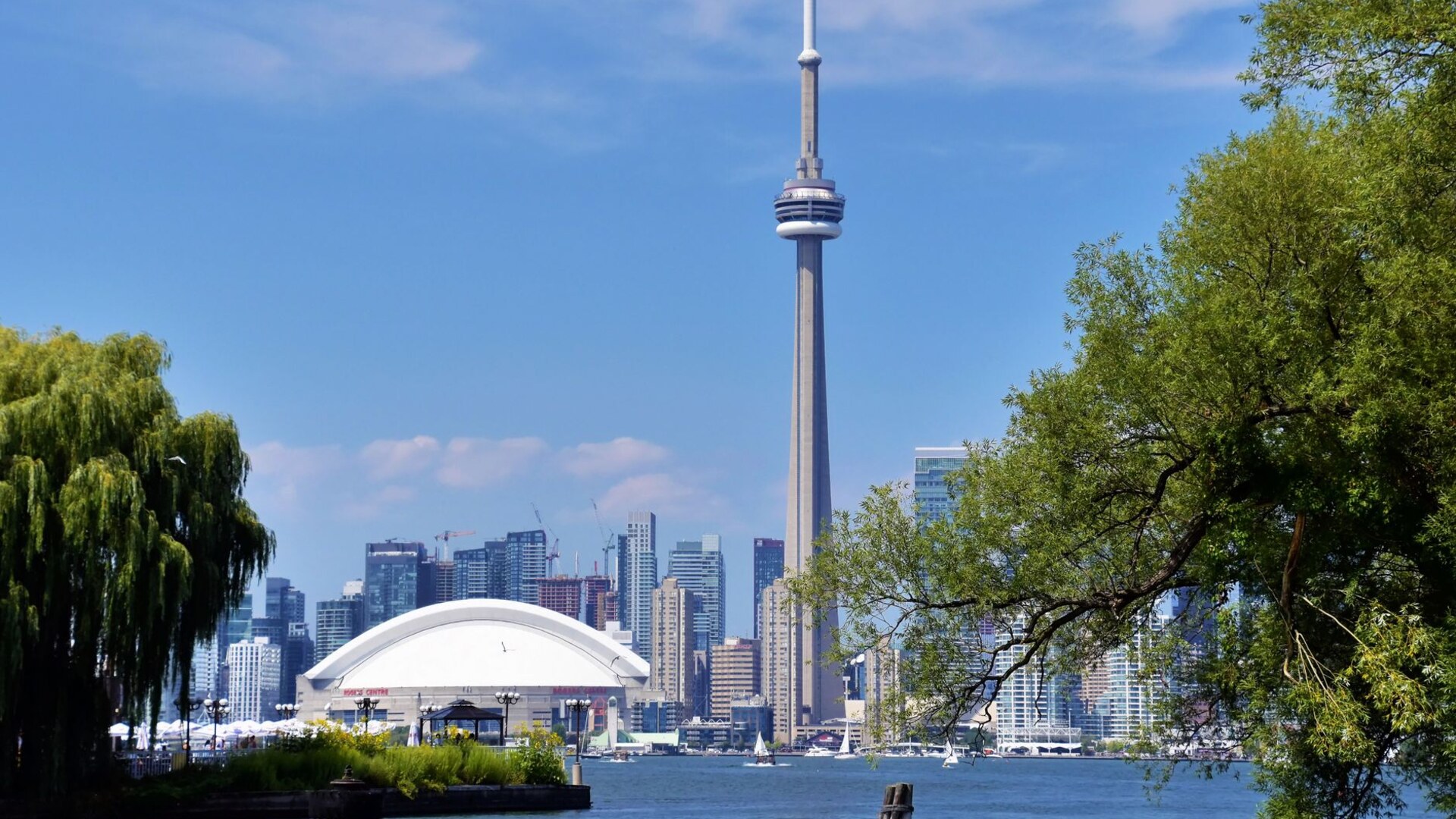 Cosmos Immigration banner — free Canada points calculator